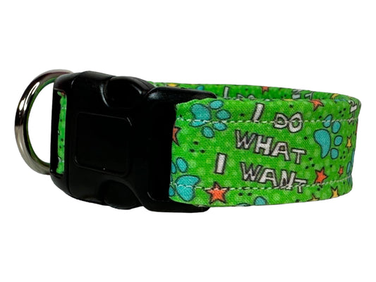 I do what I want dog collar - handmade side release dog collar