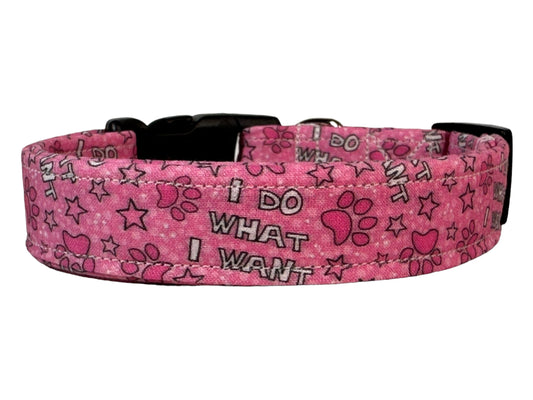 I do what I want dog collar - handmade side release dog collar