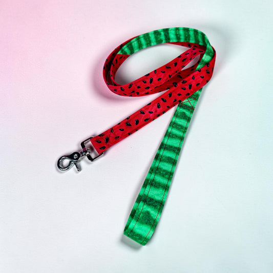 Watermelon martingale dog collar - No buckle, gentle choke training collar, or leash