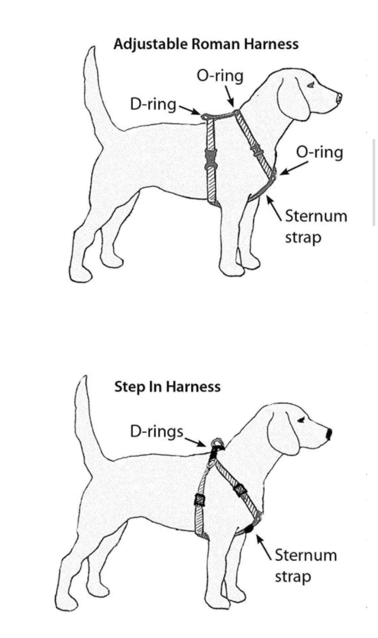 Daisy dog harness, floral dog harness, matching dog harnesss and leash set, standard roman dog harness, step in dog harness, Daisy print