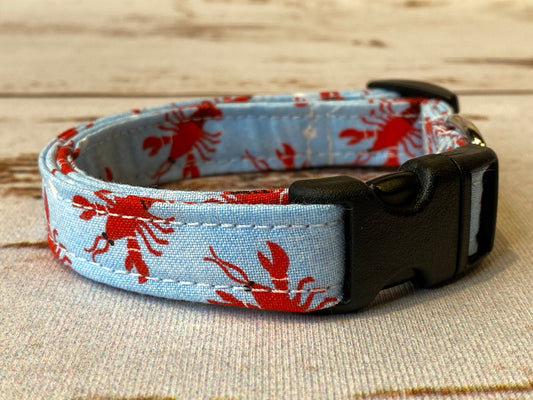 Lobster dog collar, funny dog collar, adjustable collar, washable collar, side release collar, eco friendly, red, blue, lobsters, unisex,