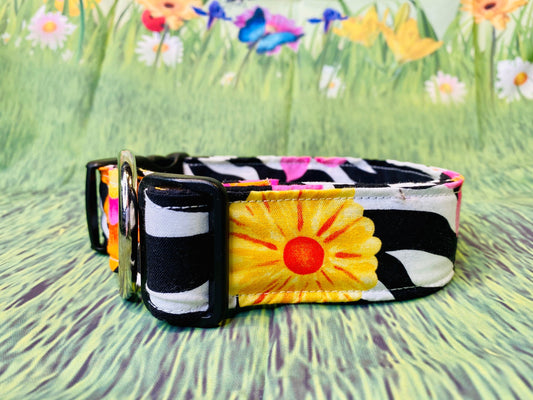 Dog Collar, girl dog collar, zebra dog collar, adjustable collar, buckle dog collar, zebra dog collar, floral dog collar, zebra, flowers
