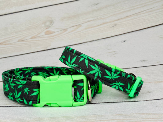 Dog Collar, 420 dog collar, funny dog collar, pot collar, adjustable collar, Mary Jane, weed dog collar, marijuana dog collar, 420, green