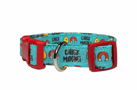 Chick magnet dog collar, dog collar, eco friendly dog collar, chick magnet, fabric dog collar, funny dog collar, blue collar, boy collar