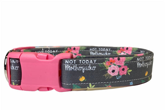 Obscene dog collar, dog collar, not today motherfucker, fuck dog collar, girl dog collar, funny dog collar, floral dog collar, cat collar
