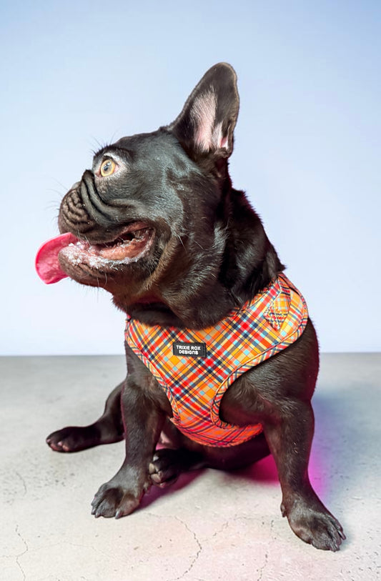Fall Orange Diagonal plaid Neoprene Dog Harness – Adjustable & Comfortable | Add Matching Leash & Poop Bag Set
