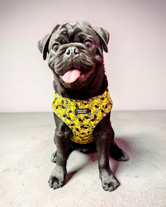 Rubber Duck Neoprene Dog Harness – Adjustable & Comfortable | Add Matching Leash & Poop Bag Set