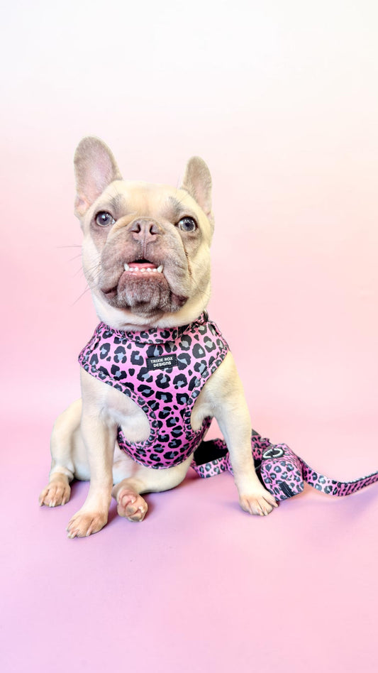 Pink and gray leopard Neoprene Dog Harness – Adjustable & Comfortable | Add Matching Leash & Poop Bag Set