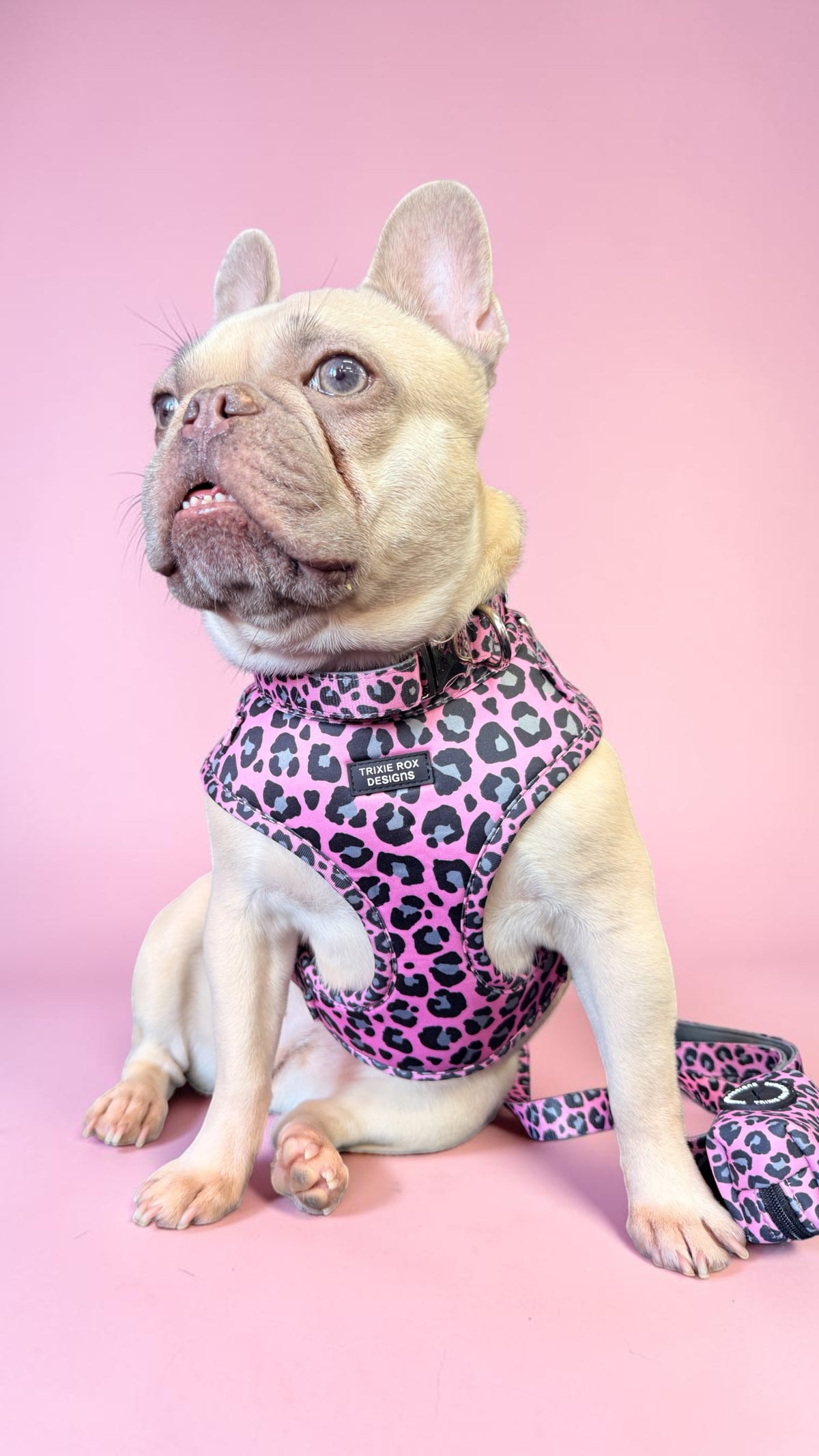 Pink and gray leopard Neoprene Dog Harness – Adjustable & Comfortable | Add Matching Leash & Poop Bag Set