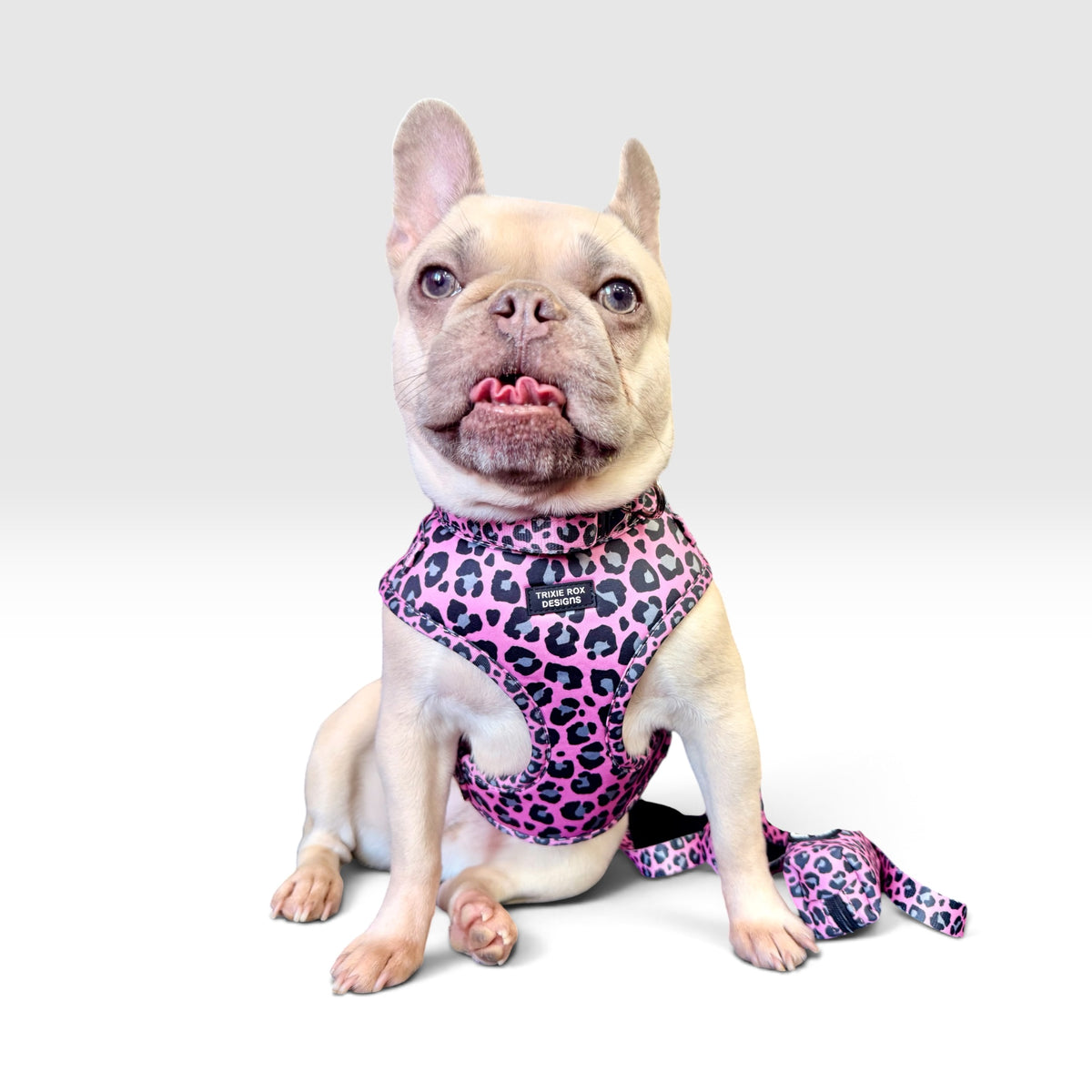 Pink and gray leopard Neoprene Dog Harness – Adjustable & Comfortable | Add Matching Leash & Poop Bag Set