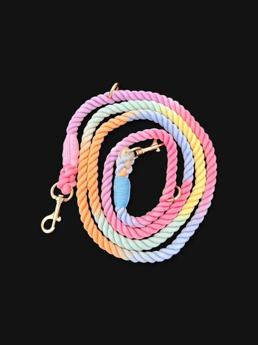 Rainbow ombre’ multifunction soft rope leash