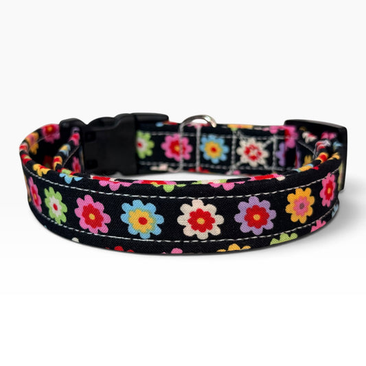 Rainbow Daisy Floral Handmade dog collar,  Handmade Pet Collar with Heavy-Duty Webbing & Stainless Steel Hardware