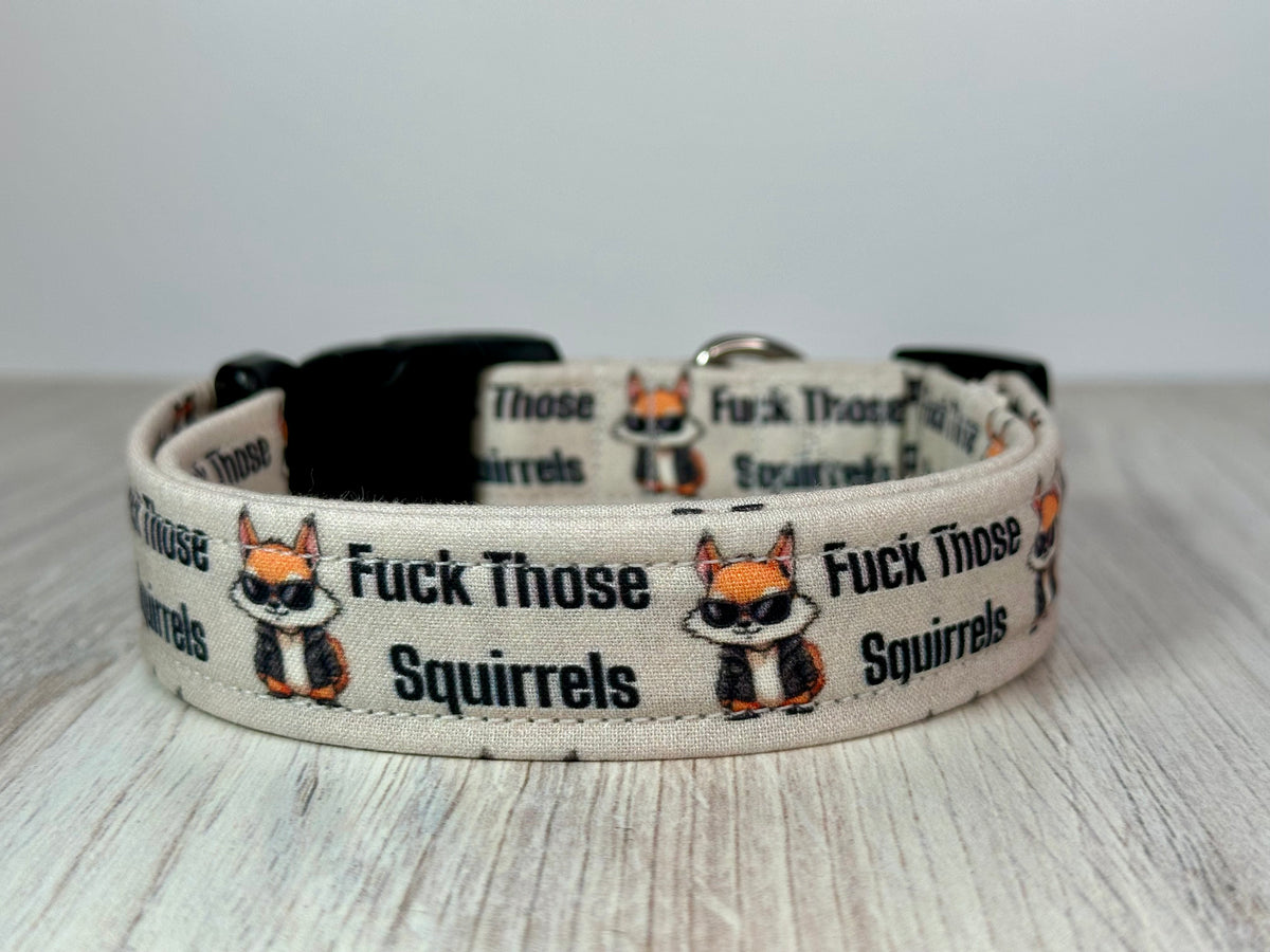 Fuck Those Squirrels Funny Handmade dog collar: Adjustable side release, washable cotton fabric, webbing core, customizable hardware