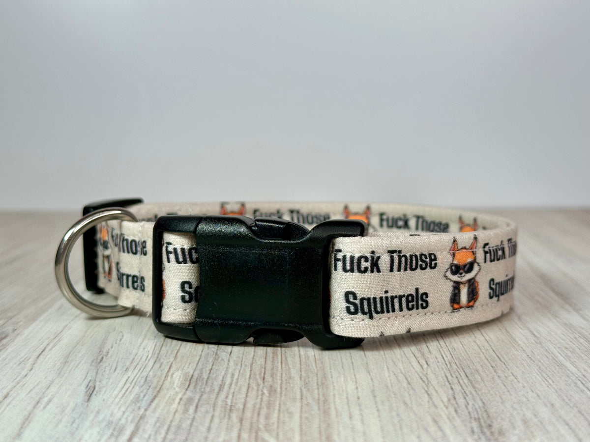 Fuck Those Squirrels Funny Handmade dog collar: Adjustable side release, washable cotton fabric, webbing core, customizable hardware