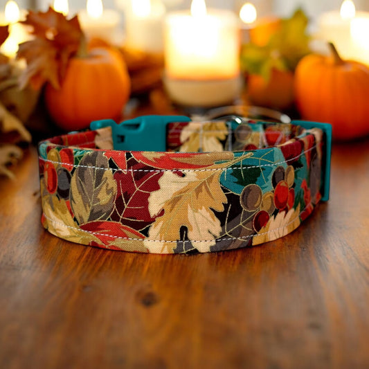Fall Leaves Dog collar, handmade side release dog collar