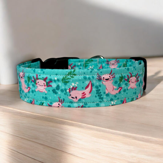 Axolotl dog collar, handmade side release dog collar
