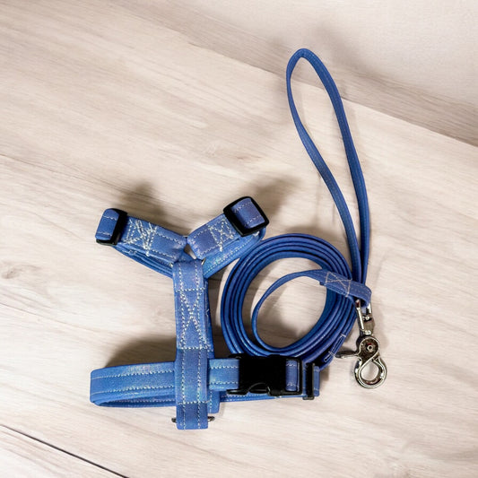 Periwinkle Iridescent Dog harness, Standard roman harness or Step in harness. With or without matching leash