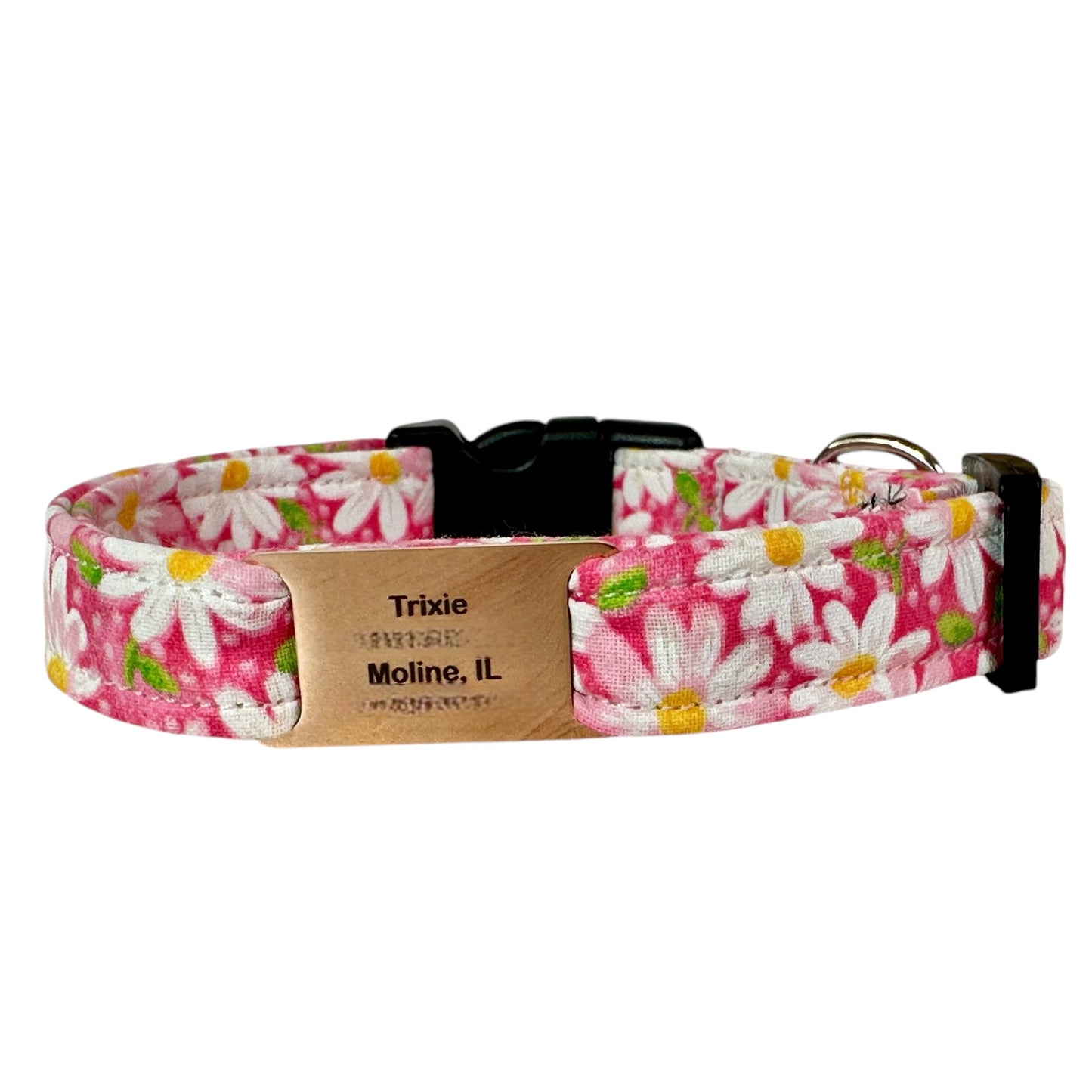 Engraved slide on pet tag