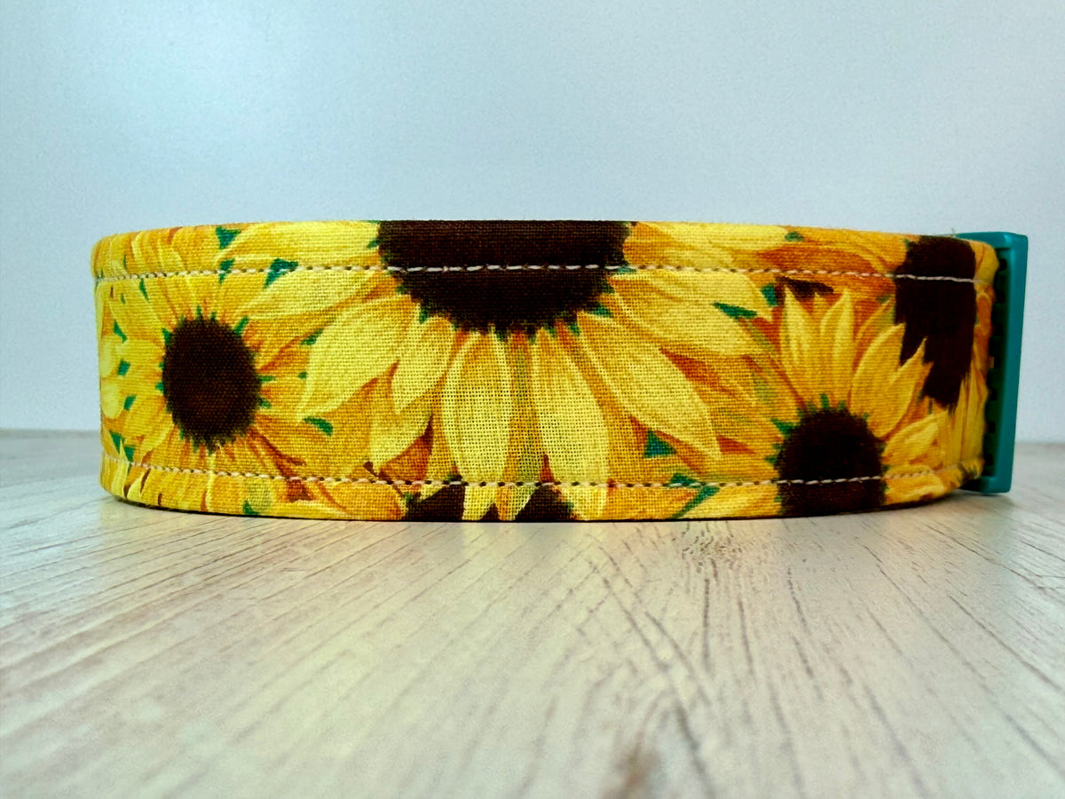 Sunflower dog collar, handmade side release adjustable dog collar