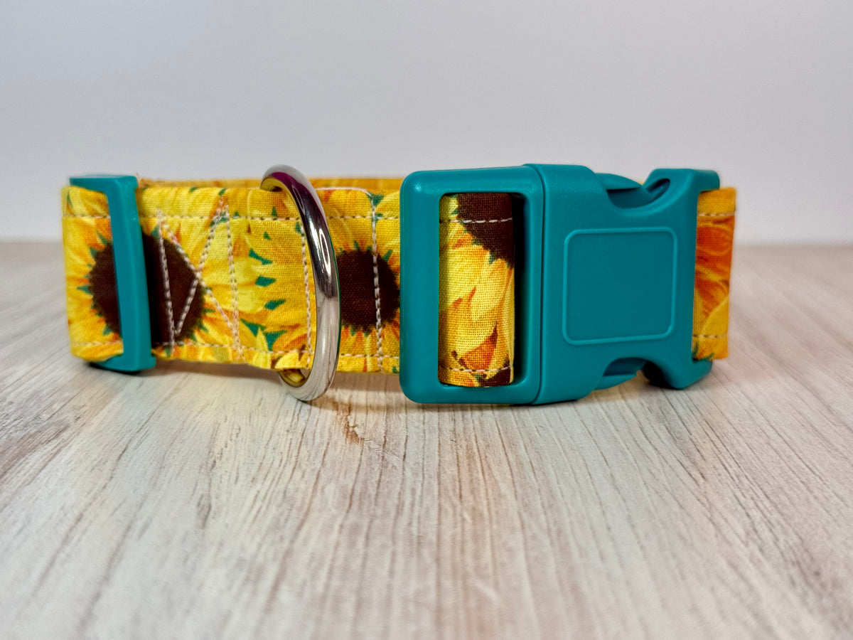 Sunflower dog collar, handmade side release adjustable dog collar