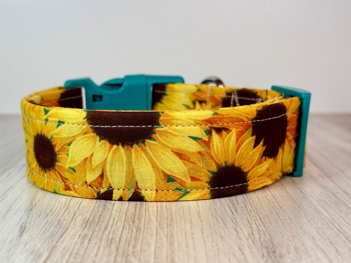 Sunflower dog collar, handmade side release adjustable dog collar