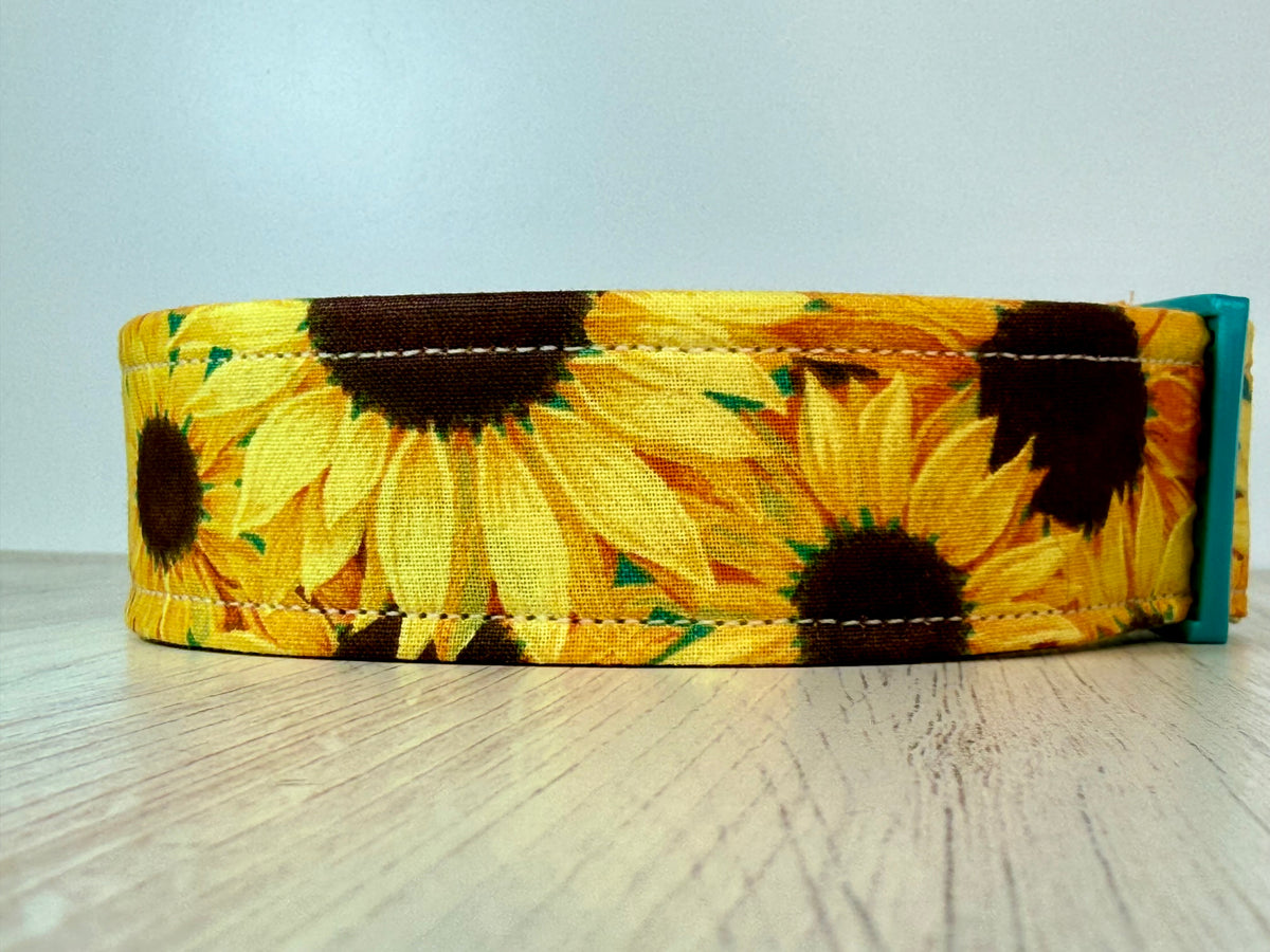 Sunflower dog collar, handmade side release adjustable dog collar
