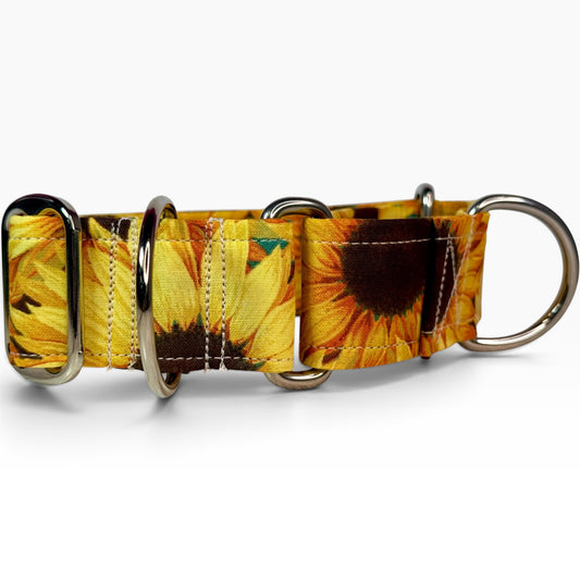 Sunflower handmade martingale dog collar - No buckle, gentle choke training collar, or leash