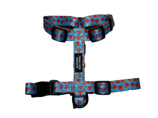 Watermelon Nylon Dog Harness: Adjustable, matching leash and poop back available