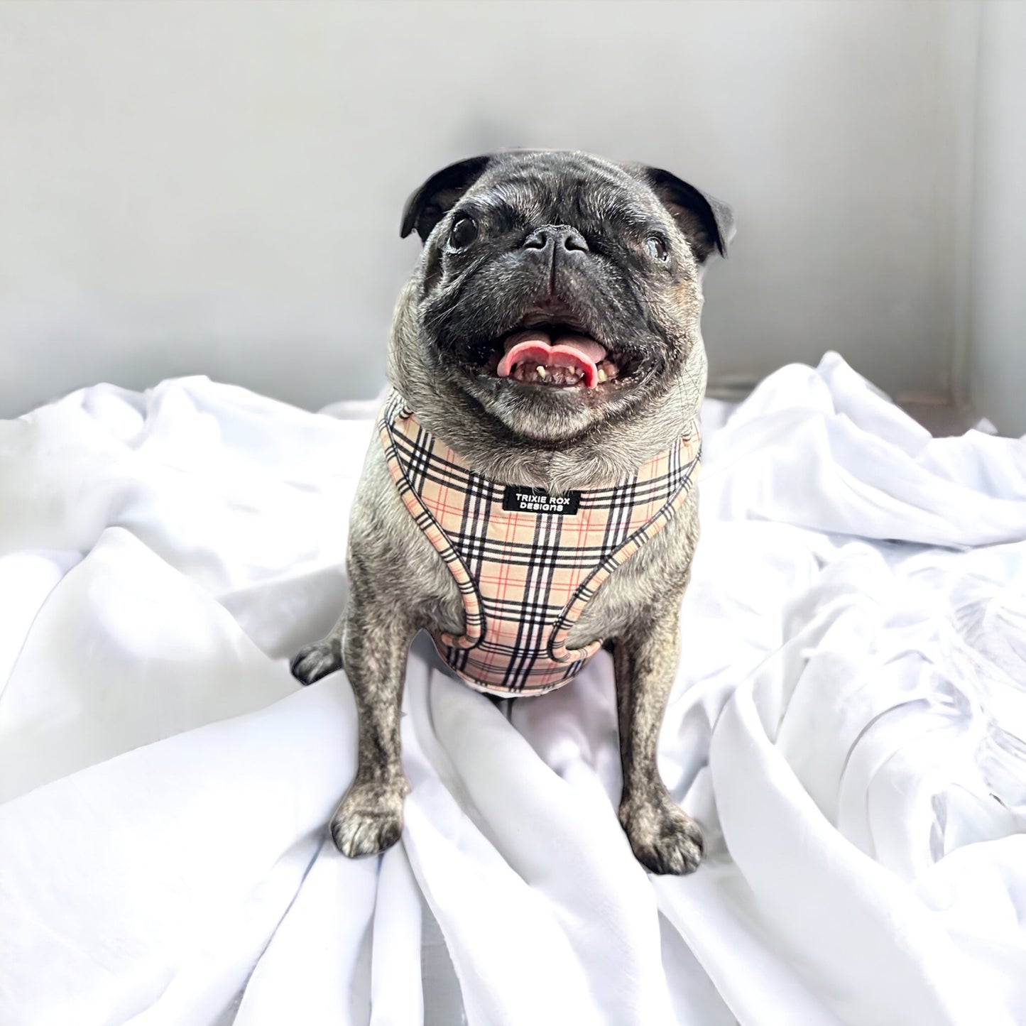 Soft Neoprene dog harness: Harness only and Harness and Leash set option - 9 print options available