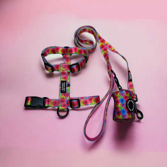 Floral Nylon Dog Harness: Adjustable, matching leash and poop back available