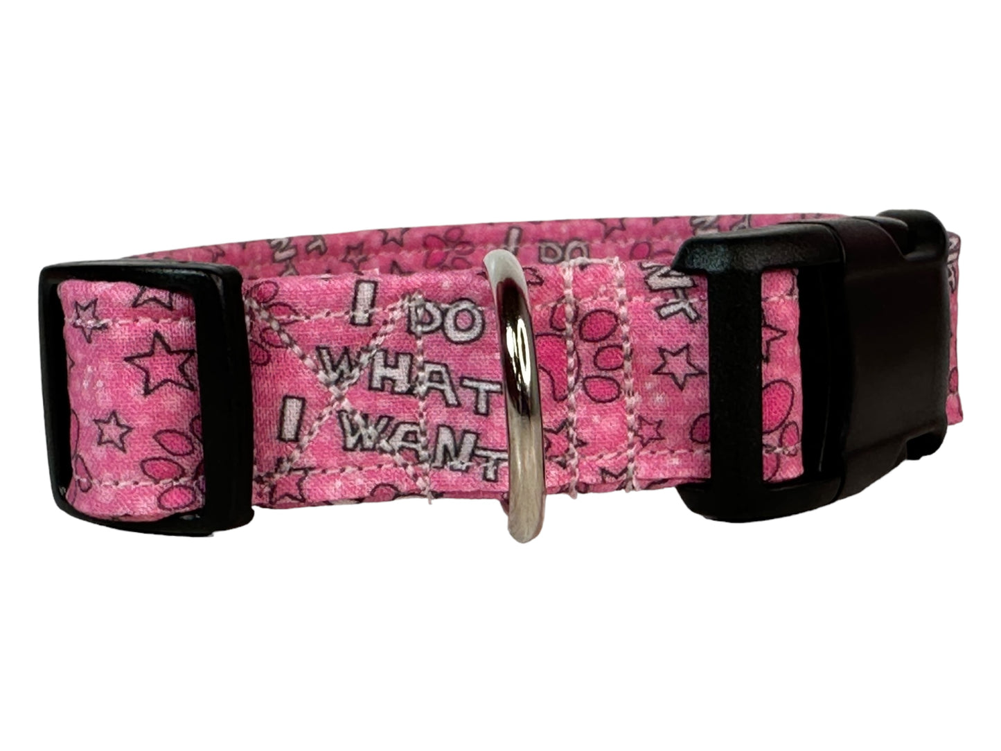 I do what I want dog collar - handmade side release dog collar