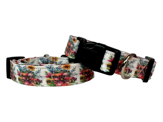I’m cute but will fuck you up - Dog collar, handmade side release dog collar