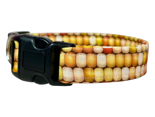 Fall Harvest Corn Dog collar, handmade side release dog collar