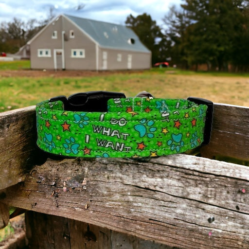 I do what I want dog collar - handmade side release dog collar