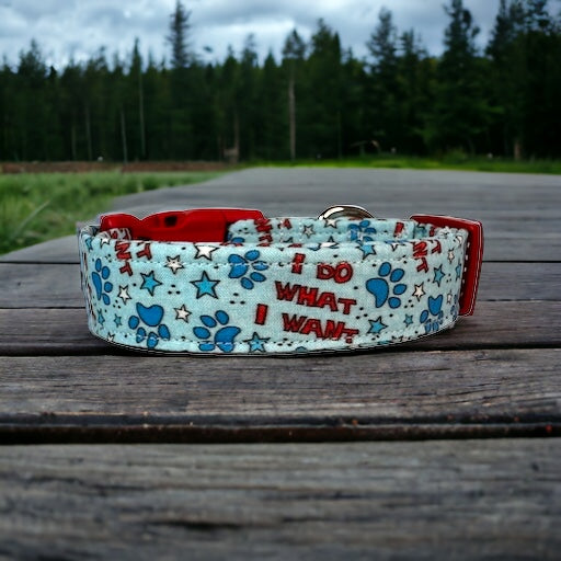 I do what I want dog collar - handmade side release dog collar