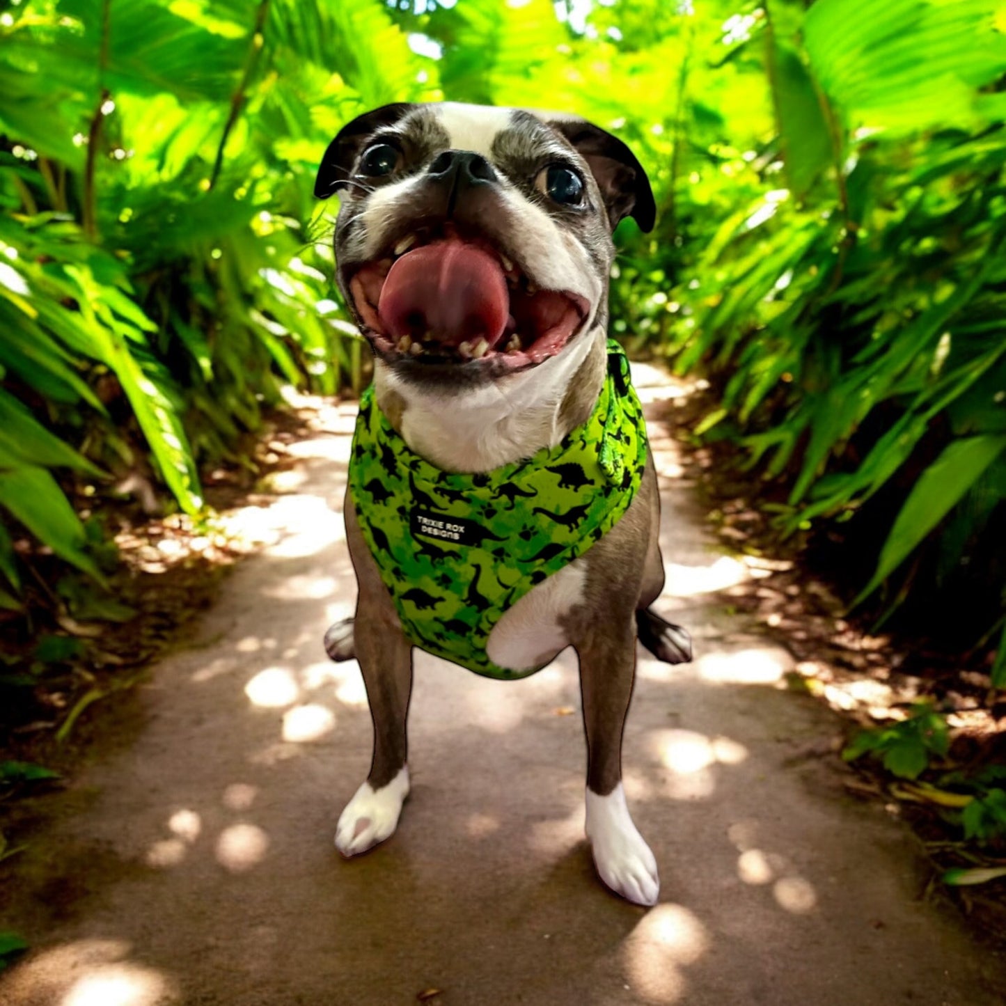 Soft Neoprene dog harness: Harness only and Harness and Leash set option - 9 print options available