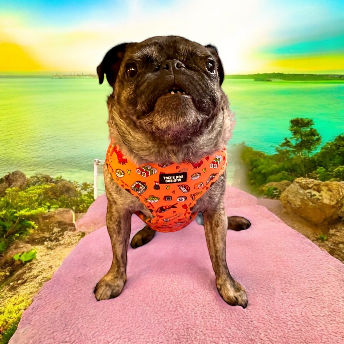 Soft Neoprene dog harness: Harness only and Harness and Leash set option - 9 print options available