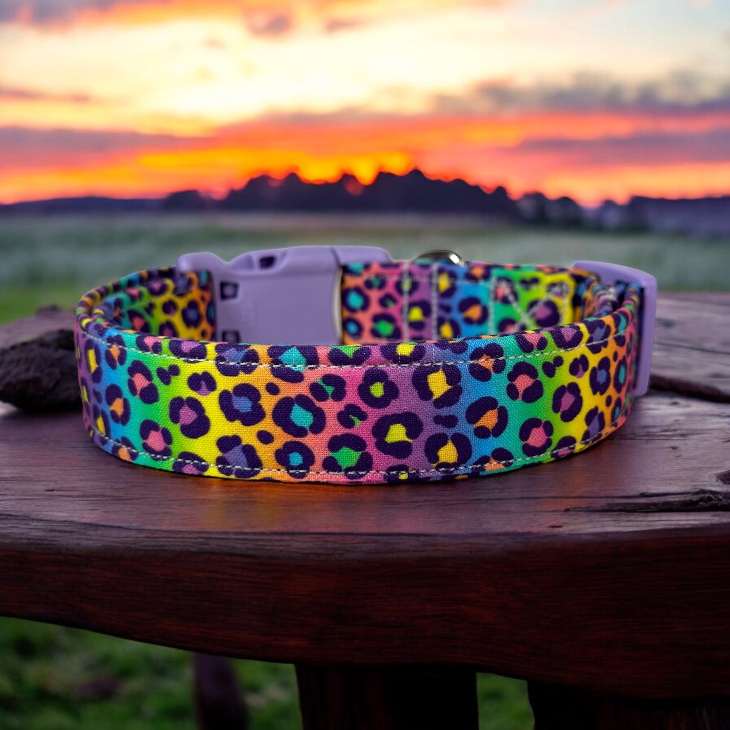 90’s Rainbow Cheetah print Dog collar, handmade side release dog collar