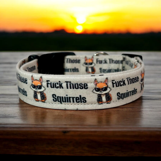 Fuck Those Squirrels Funny Handmade dog collar: Adjustable side release, washable cotton fabric, webbing core, customizable hardware