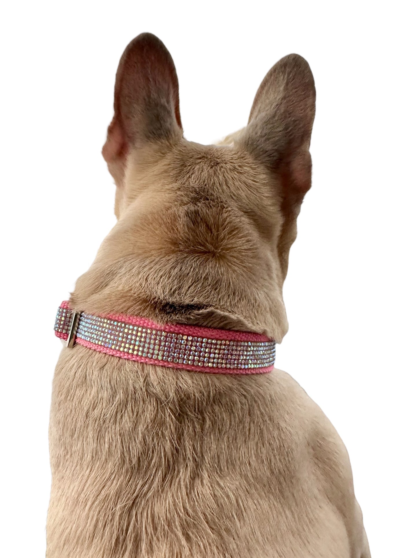 Rhinestone and Webbing Dog collar, Pink with AB Rhinestones and engrave-able silver hardware