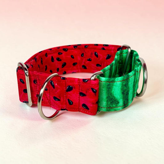 Watermelon martingale dog collar - No buckle, gentle choke training collar, or leash