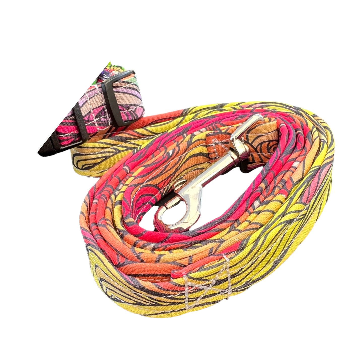 Colorful dog harness, Rainbow dog harness, matching dog harness and leash set, standard roman dog harness, step in dog harness