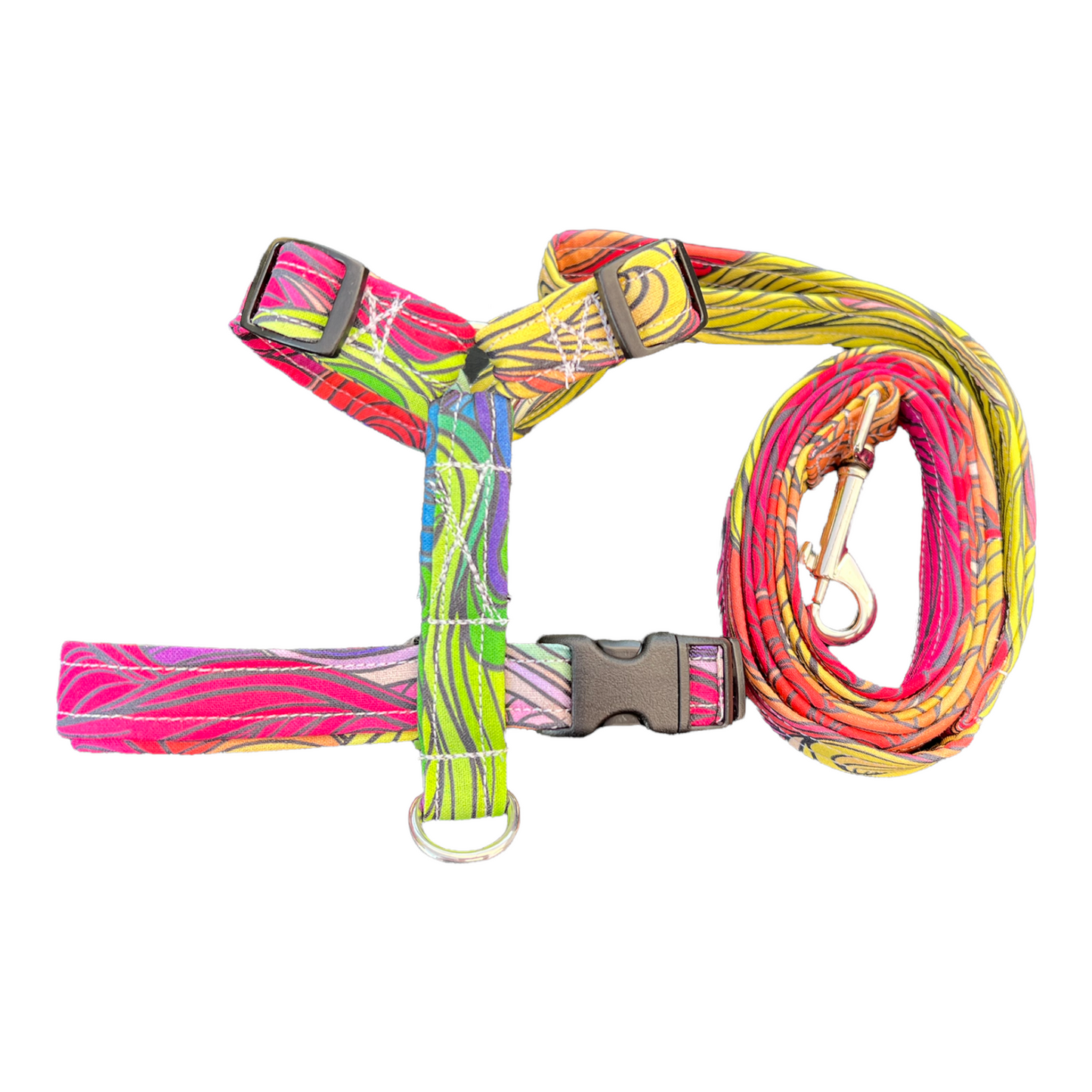 Colorful dog harness, Rainbow dog harness, matching dog harness and leash set, standard roman dog harness, step in dog harness