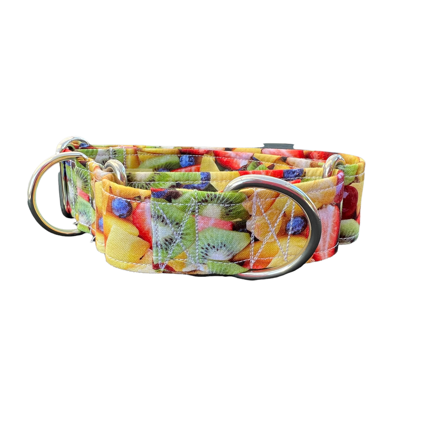 Fruit Salad martingale dog collar