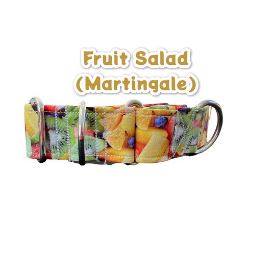 Fruit Salad martingale dog collar