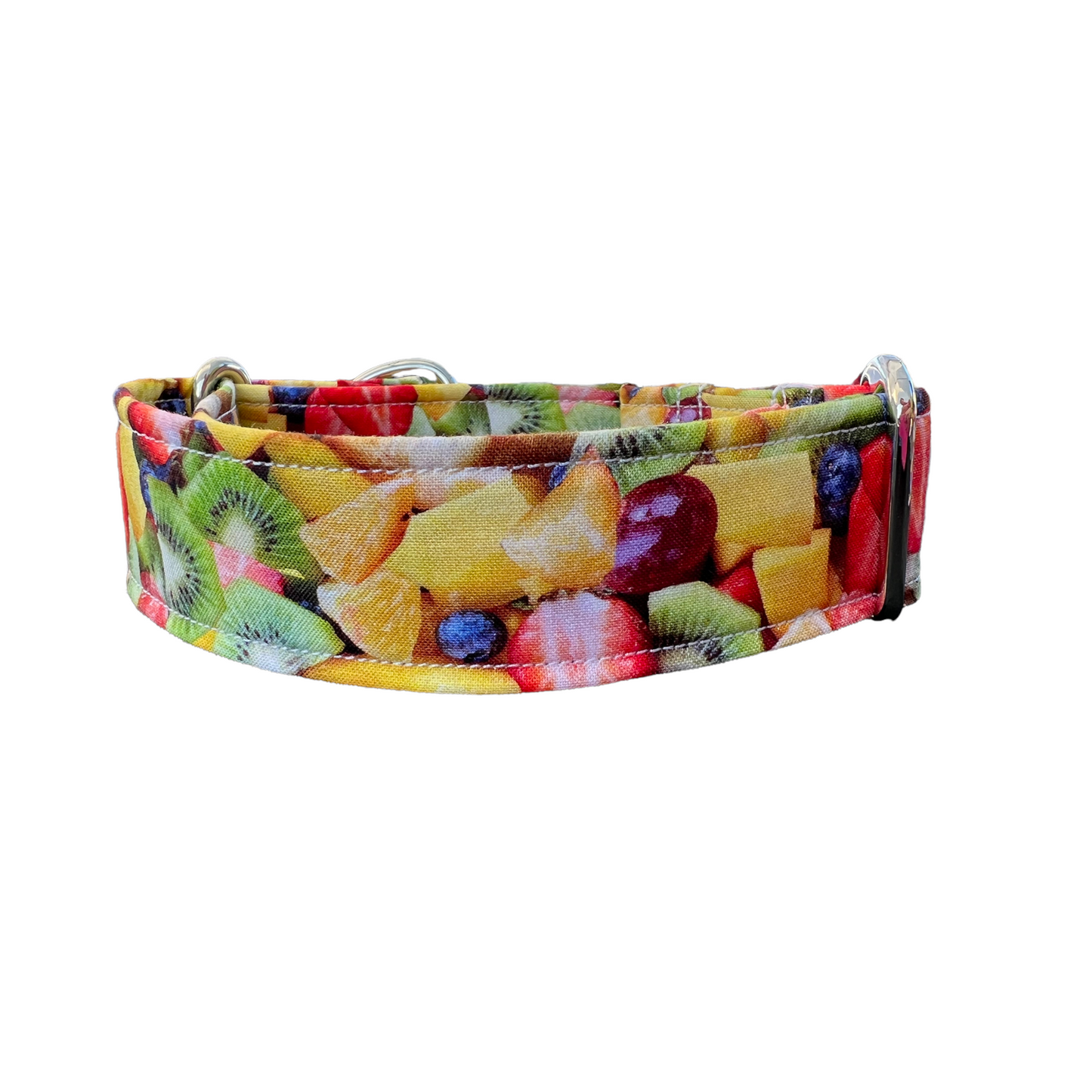 Fruit Salad martingale dog collar
