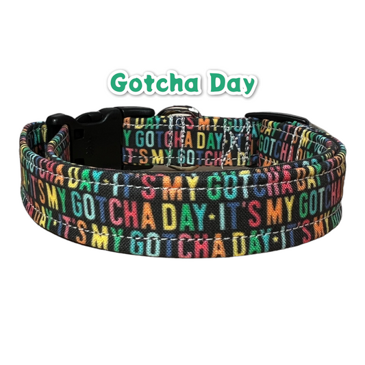 Dog collar, gotcha day dog collar, gotcha day cat collar, rainbow dog collar, quick release collar, girl collar, boy collar, collar for dog
