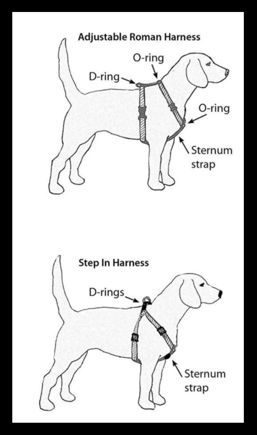 Lime dog harness and leash set, pet harness and matching leash, dog harness and matching leash, standard roman harness, step in harness, pet harness