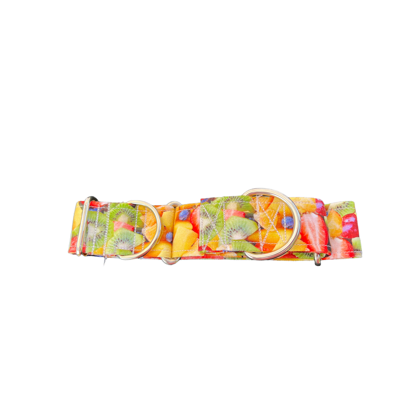 Fruit Salad martingale dog collar