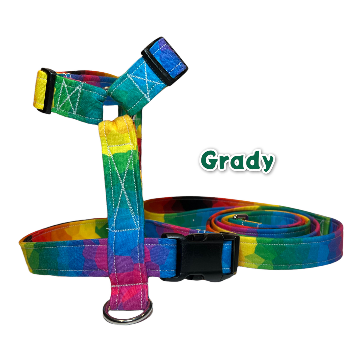 Rainbow gradient dog harness and leash set, standard roman dog harness, step in dog harness, matching leash, pet harness